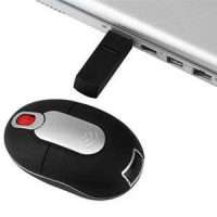 mouse