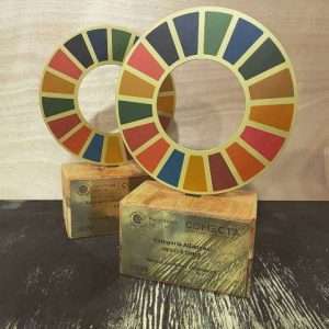 Trofeos Personalizados - Imagen 7
