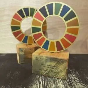Trofeos Personalizados - Imagen 7
