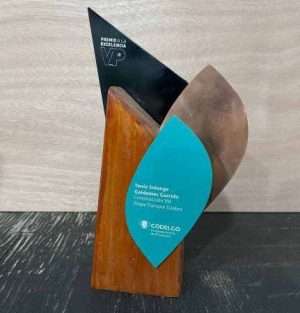 Trofeos Personalizados - Imagen 6