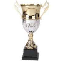 Copa 32006
