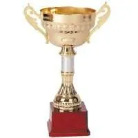 Copa 32007