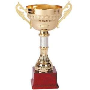 Copa 32007