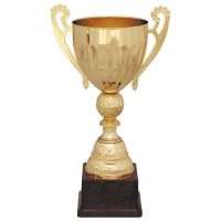 Copa 30201