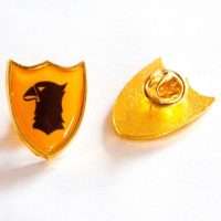 Pin escudo dorado