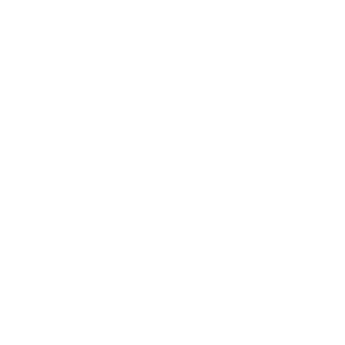 Negocios y Empresas