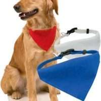Collar Bandana Roco