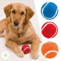 Pelota Niki