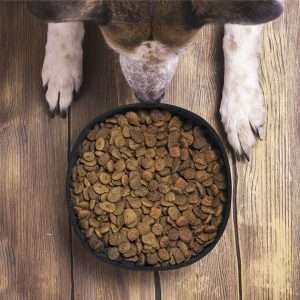 Bowl Plegable Poppy - Imagen 8
