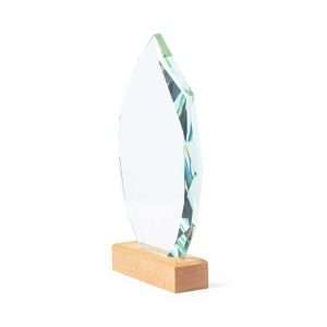 Placa Pulman - Imagen 3