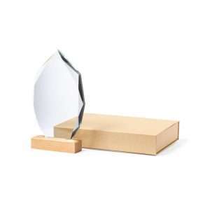 Placa Pulman - Imagen 4