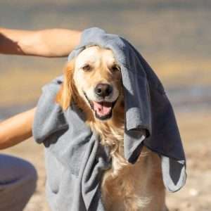 Toalla Mascotas Yelyn - Imagen 6
